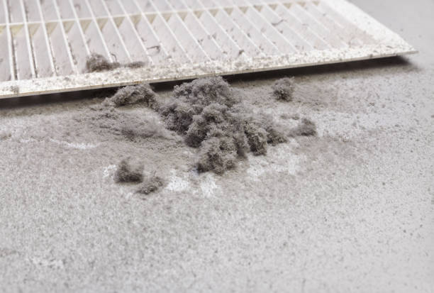 Best Affordable Duct Cleaning Services  in Rock Hall, MD