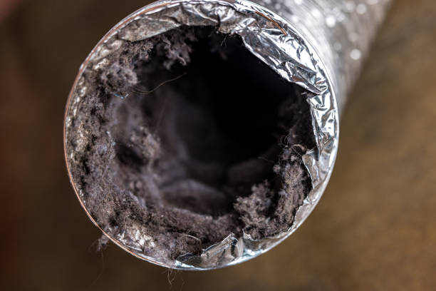Best Air Duct Cleaning Near Me  in Rock Hall, MD