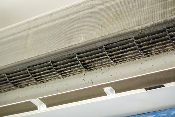  Rock Hall, MD Airduct Cleaning Pros